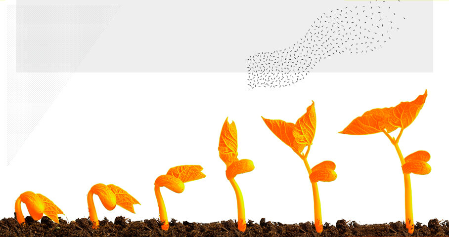 Como aumentar engajamento orgânico no IG